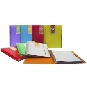 CARPETA DE 50 FUNDAS ESPIRAL CON GOMA ELASTICA DINA4 EXTRAIBLES TRANSLUCIDAS IN&OUT GRAFOPLAS