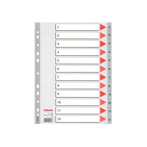 SEPARADORES 12 POSICIONES DINA4 PLASTICO DE COLOR GRIS CON CARATULA ESSELTE 100106