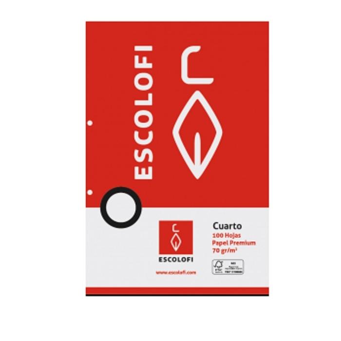 RECAMBIO DINA5 4X4 100H 70GR 2 TALADROS ESCOLOFI