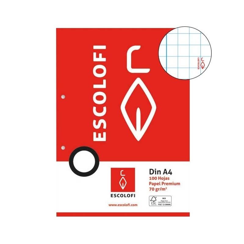 RECAMBIO DINA4 6X6 100H 70GR 4 TALADROS CON MARGEN ESCOLOFI